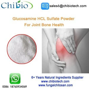 Bulk Glucosamine Hydrochloride Sulphate Improved Bone Density