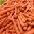Import Carrot fresh carrots newest crop cheap price in carton S M L professional export fresh carrot from China