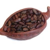 Certified Good quality Dried Grade A Cocoa/ Cacao/ Chocolate bean Best Price