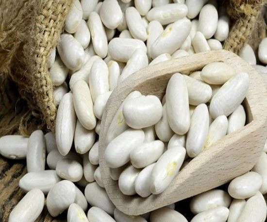 Cheap Natural Dried White Kidney Beans for sale