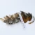 Import Cheap natural pheasant feather for decoration from China