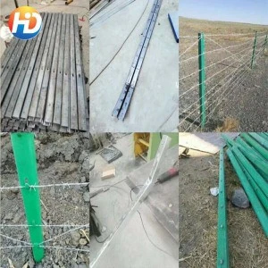 China manufacturer hot dipped galvanized chain link fence Factory Direct Price