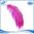 Import China Manufacturer HP-17 High Quality Dyed Prime Femina Ostrich 20-30 Inch Cheap Ostrich Feathers from China