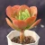 Import China nursery any of various succulent plants having flower-like stems from China
