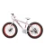 Import Chinese high quality fat tyre bicycle for men 21 speed fat tire bicycle for women from China