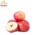 Import Chinese Sweet Fresh Fuji Apple for sale from China