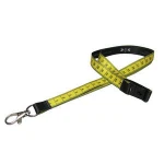 Classic Promotional Plastic Ball Pen for Advertising