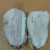 Import CLEANED OYSTER SHELL from Vietnam