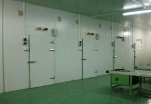 Cold room Project /Chiller storage room Project/ Supermarket cold storage room