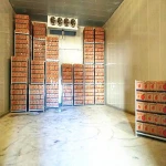Cold Storage Room For keeping Apple Fresh
