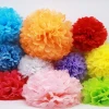 Colorful 10 INCH  low price paper pom pom party decorations in stock