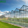 Commercial Agricultural Glass Greenhouse Price In China for cucumber growing