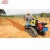 Import Crawler Ploughing and Weeding Machine Farming Cultivator Machine Agricultural Farm Machinery from China