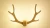 Import Creative Antler Wall Lamp For Childrens Room Home Decoration LED Iron Wall Lights Modern Bedside Reading Lamps Corridor Lights from China