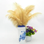 Custom dyed Very large White ostrich feathers with different sizes