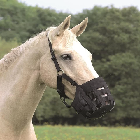 Custom High Quality Horse Feeding Brake Plastic Horse Grazing Muzzle Equestrian Equipment Horse Muzzle With Halter