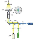 Customized 488nm Laser diode module for Flow Cytometry/Medical Imaging/DNA sequencing/Confocal Microscopy