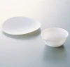 Customized Multi Size Lab Laboratory PTFE Petri Dish for Chemicals