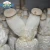 Import DETAN  oyster Mushroom spawns/logs/bags/grow kits for  mass product use (offer Professional technical guidance ) from China