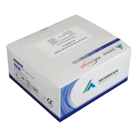 Diagnostic Kit One Step Test Strip N-terminal pro-brain natriuretic peptide NT ProBNP Rapid Test