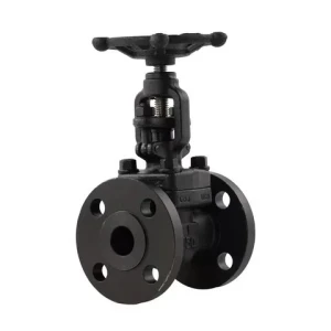 DN40 Forged Steel Gate Valve Manual Power Water Oil Gas Flange Gate Valve Media For General