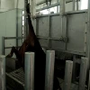 Donkey Meat Producer With Quality Processing Slaughter Machine