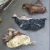 Import Dry Salted Bull Hides/Wet Salted Cow Head Skins/ Wet Salted Bull Hides or Skin for sale from China