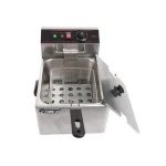 Electric Fryer