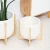 Import elegance fine white wedding decorative indoor outdoor home garden decoration ceramic succulent pots planters with wood stand from China