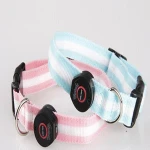 Elegentpet Wholesale Hunting Dog Collar & Dog Collar Leash & dog collar nylon