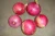 Import ew crop onion in lowest price fresh red onion for sale from China from China