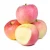Import Export Pricesale Apples Royal Gala Apple Fruit Fresh Mt from China