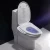 Import F1M525  Smart Bidet Seat Toilet Cover Self Cleaning Toilet Bidet Factory price from China