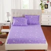 Factory direct anti bed bug dust mite mattress cover