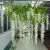 Import Factory price  Decorative Wedding Purple Artificial Flower Vine Artificial wedding flower wisteria from China