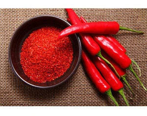 Factory Supply Spices Super Hot Spicy Chili Pepper Red Chilli Exporters for sale