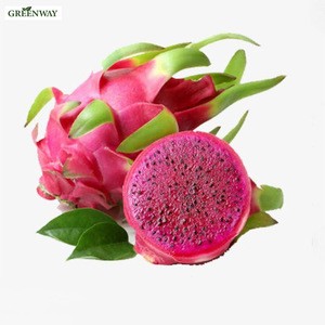 Factory Supply Wholesale High Quality Best Price 100% Natural Organic Freeze Dried Red Dragon Fruit Powder in Bulk