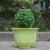 Import Factory wholesale wave lace lotus PP resin plastic potted flower pot with tray from China