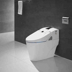 Family Remote Controlled Hot&amp;cold Water Wash Electronic Toilet ZJS-05
