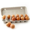 farm fresh chicken eggs