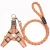 Import Fashion innovative pet products durable dog training leash and collar from China