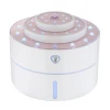 Fashion Ultrasonic Humidifier USB Car Diffuser Air Purifier Humidifier For Travel