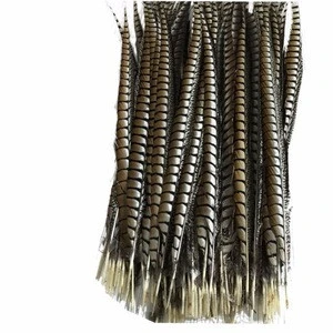 Featured Quality natural pheasant tail feathers 36-40 inch / 90-100 cm PM-673