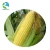 Import Food grade Modified corn starc corn starch from China