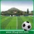Import Football Field White Line Artificial Turf, synthetic grass white from China