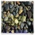 Import For playgrounds decoration Natural stone pebbles with lowest Price from China