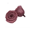 Forever Private Label Gift Box Custom Everlasting Roses Fresh Single Glass Preserved Artificial Rose