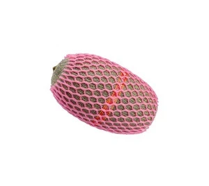 France SAIL Exhibition Hot Product Plastic Fruit Packing Net for Papaya