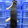 Free Sample Raw Virgin Brazilian Cuticle Aligned Hair Wholesale Virgin Hair Vendors Brazilian Human Hair Extensions