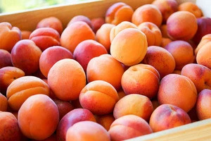 Fresh Apricots Fruits